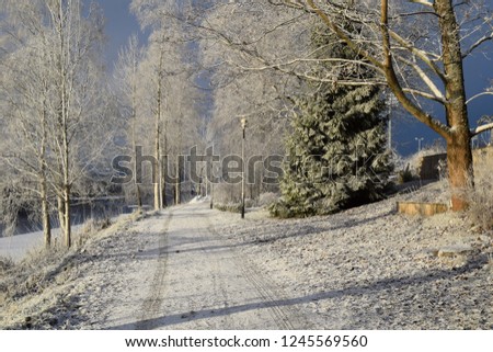 Snowy park hiking trail nature landscape - winter season - Kongsvinger, Norway