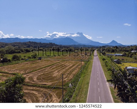 Aerial image of beautiful rural Paddy Field rice with asphalt road and clear blue sky - Travel Concept
