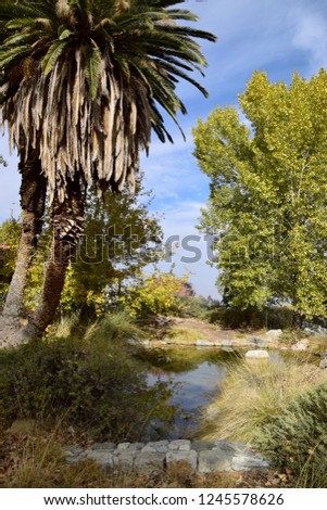 Scenic view of the pond during fall season at Wind Wolves Preserve, Bakersfield, CA. 