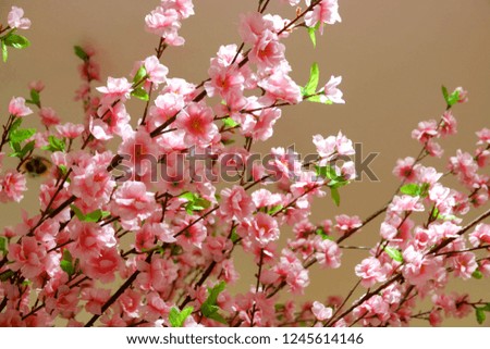 Closeup plastic sakura tree for background