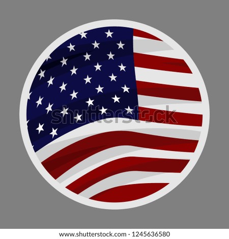 USA national flag. flat, icon, vector illustration
