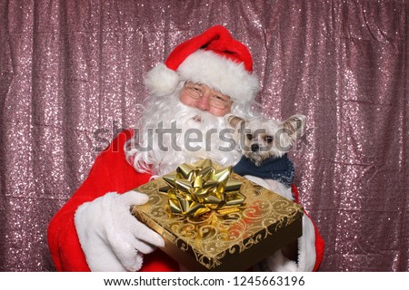 Santa Claus with a Dog. Santa holds a small Morkie dog with a Gold Christmas Present in a Photo Booth with Pink Sequin Curtains. 
