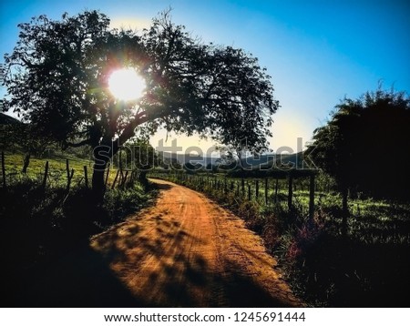 Dirt road with many trees, mountains, very green, nature, blue sky, fresh air, bright sun. A beautiful orizon. Contact with nature.