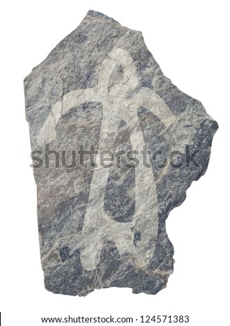Buffalo . Old ancient petroglyph. Bronze age