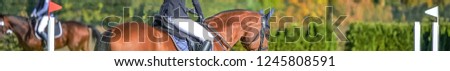 Horse horizontal banner for website header design. Dressage horse and rider in uniform during equestrian competition. 