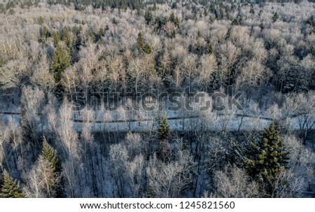 Shot from a drone: Winter forest on a cold sunny morning