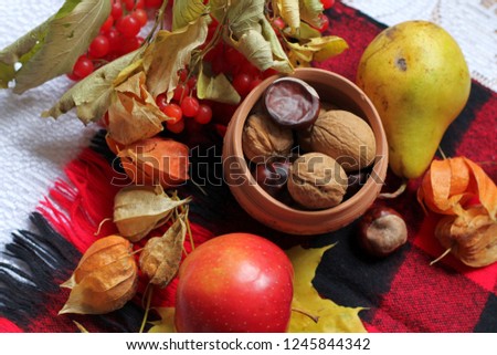 Nuts and chestnuts in a clay pot, yellow autumn leaves, dry orange flowers, clusters of red berries, apple, pear on a background of red and black warm scarf in a square. Top view