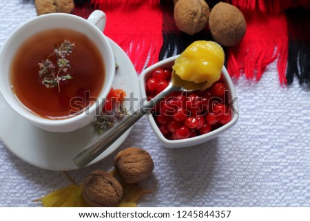 Hot tea made from medicinal plants for the treatment of colds in autumn and in winter on a white background; next to the scarf, red berries in a plate, bunch of cranberries, nuts. Top view. Copy space