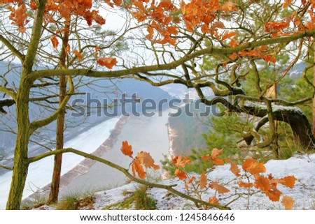 The photo was taken in the area of the mountains called Bastei in Germany. The picture shows a view of the Elbe River from the mountains. In the foreground are still preserved autumn leav