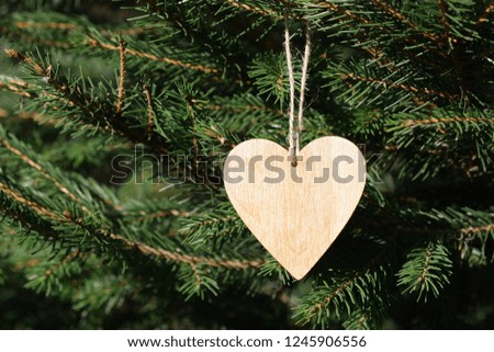 Wooden heart on a fir-tree branch a close up. 