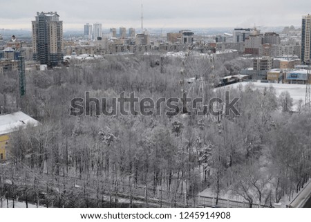 Park snow, ferris wheel, winter city