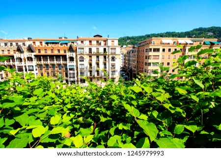 Aerial part of the residential part of San Sebastian, Basque country, Spain. View at buildings with the luxuriant vegetation on the foreground.