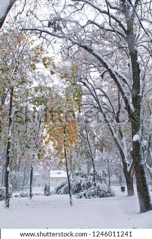 Early winter over the park (Park Expozitiei, Iasi, Romania)