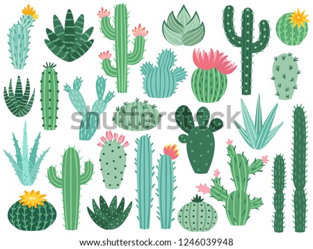 Mexican cactus and aloe. Desert spiny plant, mexico cacti flower and tropical home plants or arizona summer climate garden cactuses and succulent. Flora isolated vector icons collection Royalty-Free Stock Photo #1246039948