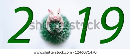 Gilt symbol of the new year 2019 in Christmas tree dress on white background smile