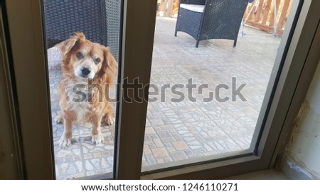 A glass door Royalty-Free Stock Photo #1246110271