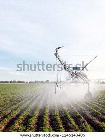 An early morning view of a center pivot sprinkler system in a farm field.   Royalty-Free Stock Photo #1246140406