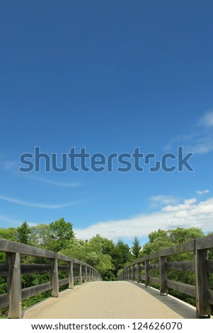 wooden foot bridge over the river and green trees against blue sky with copy space, view from below