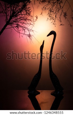 Dark silhouettes of two birds with long necks facing each other under tree branches. A bright light is shining from behind casting an orange glow. The smaller bird is looking up at the taller bird.