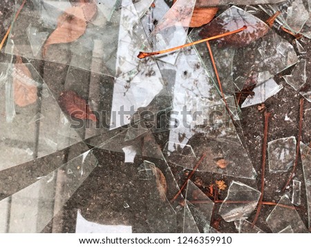 a lot of sharp fragments of broken glass are Lying on the ground with orange leaves. Glass fragments of different shapes and sizes. Broken glass is a bad sign. Abstract background