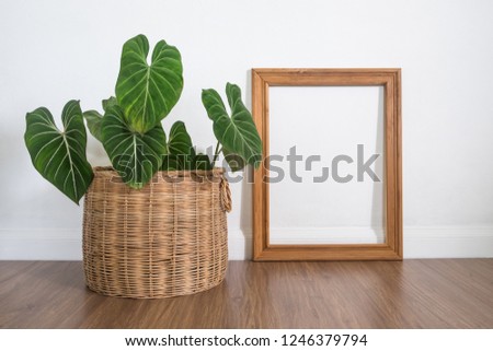 Beautiful philodendron plants with blank frame photo in room
