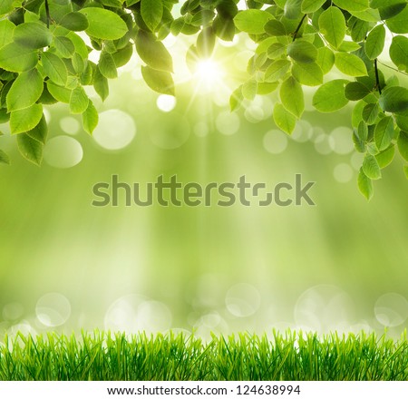 natural green background with selective focus Royalty-Free Stock Photo #124638994