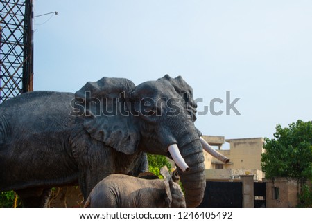 elephant statue closeup bluesky vizag city
