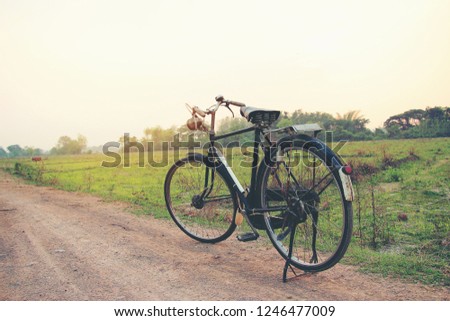Retro or vintage black bicycle with at dirt road in summer near the rice field with sunset light. vintage tone filter