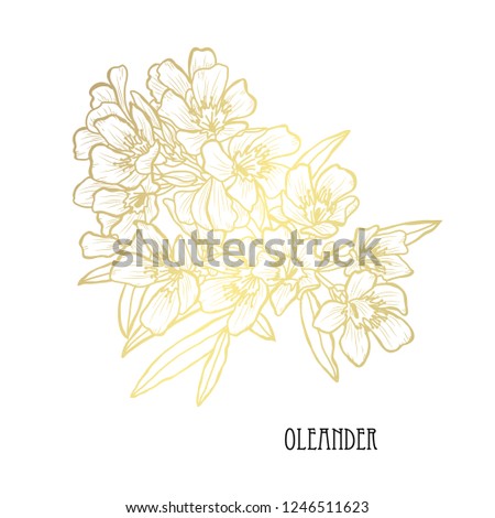 Decorative oleander flowers, design elements. Can be used for cards, invitations, banners, posters, print design. Golden flowers