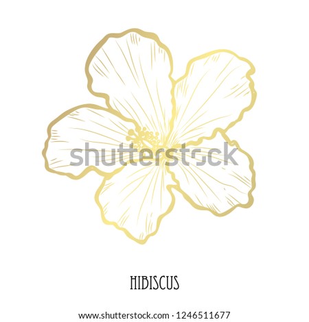 Decorative hibiscus  flower, design element. Can be used for cards, invitations, banners, posters, print design. Golden flowers