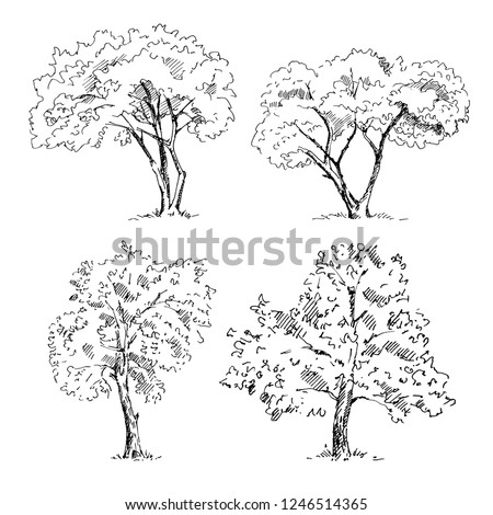Tree sketches set. Vector illustration.