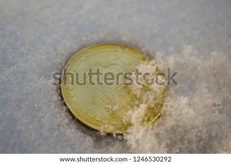 Bitcoin cryptocurrency on snow. Frozen bitcoin.