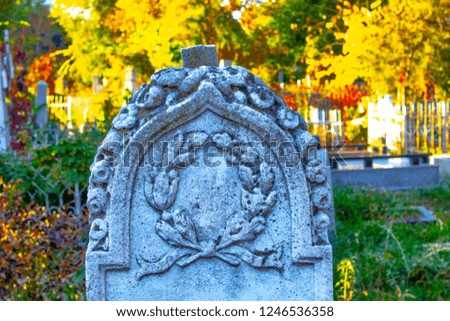 Tombstones in cemetery among green plants. Old graves in graveyard. Gothic  tombstone in autumn sunny day