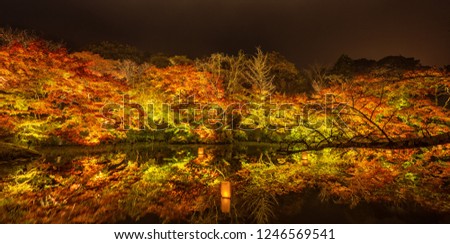 Beautiful Japanese garden named Mifuneyama Rakuen in autumn night view with maple leaves and lake reflection.