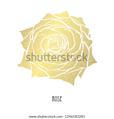 Decorative rose flower, design element. Can be used for cards, invitations, banners, posters, print design. Golden flowers
