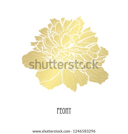 Decorative peony flower, design element. Can be used for cards, invitations, banners, posters, print design. Golden flowers