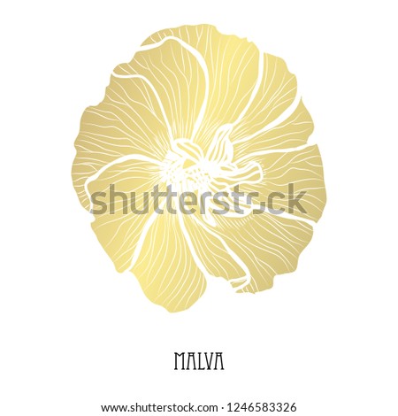Decorative malva flower, design element. Can be used for cards, invitations, banners, posters, print design. Golden flowers