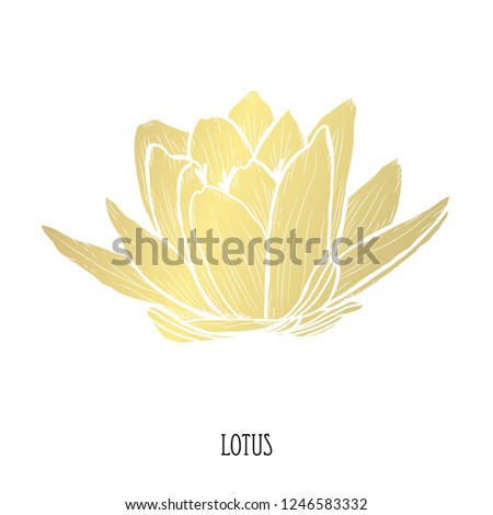 Decorative lotus flower, design element. Can be used for cards, invitations, banners, posters, print design. Golden flowers