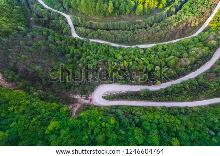 Aerial photo of a winding rural road in a beautiful summer green forest with red car stopped on the side of the road. Top down aerial photography from a flying drone camera