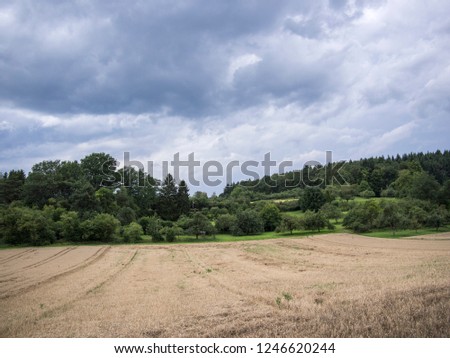 Corn field in autumn with cloudy sky in front of a wooded hill