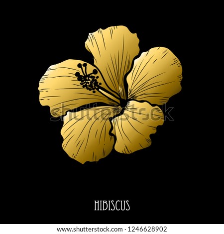 Decorative hibiscus  flower, design element. Can be used for cards, invitations, banners, posters, print design. Golden flowers