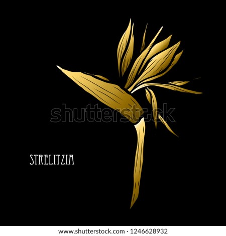 Decorative strelitzia flowers, design elements. Can be used for cards, invitations, banners, posters, print design. Golden flowers