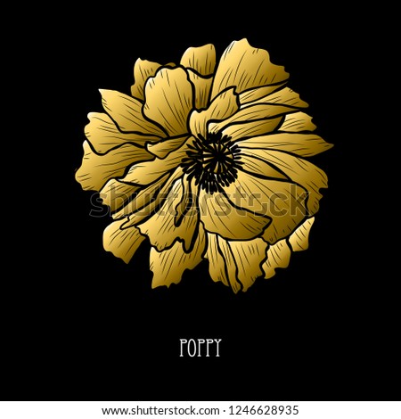 Decorative poppy flower, design element. Can be used for cards, invitations, banners, posters, print design. Golden flowers