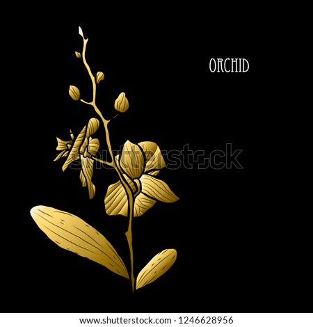 Decorative orchid flower, design element. Can be used for cards, invitations, banners, posters, print design. Golden flowers