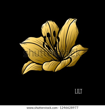 Decorative lily flower, design element. Can be used for cards, invitations, banners, posters, print design. Golden flowers