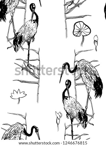 Seamless Pattern Vector Japanese Crane in Pond Vintage Oriental Tropical Birds in Leaves Black and White Outline Drawing