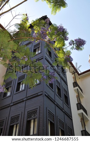 Nice brown building with violet flowers and green leafs.