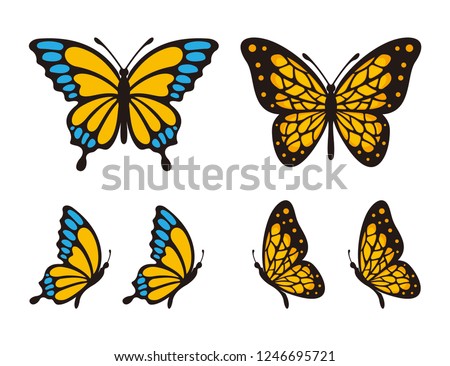 Set of butterfly vector