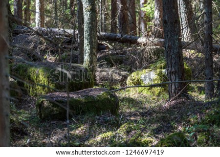 large granite rock single in nature environment isolated from other