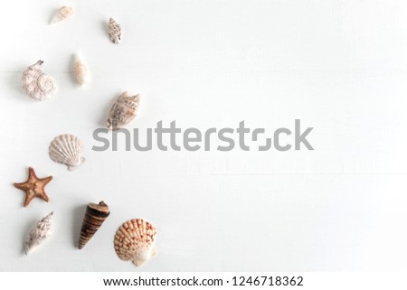 Wooden background white with shells. Frame with seashells on a white background. Sea background